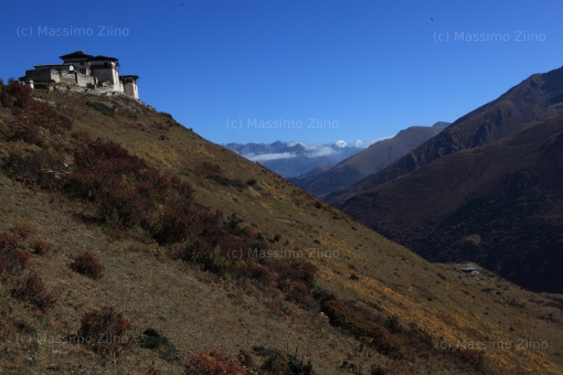 Dzong 2